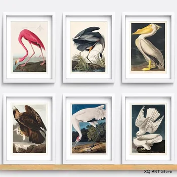 בציר ציפור הדפסי רטרו חיה אמנות היסטוריה טבעית ציורי בד HD תמונות אמנות קיר הסלון בבית עיצוב Frameless